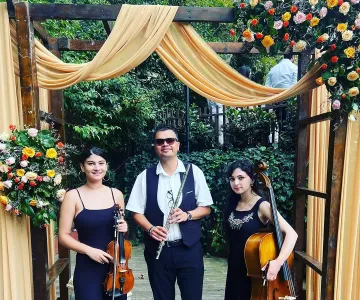 Arya Trio galeri