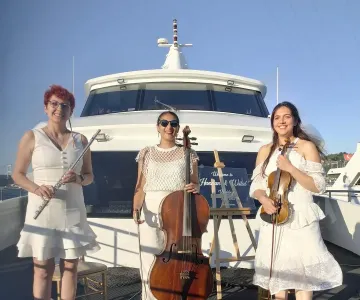Arya Trio galeri